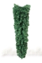 Гирлянда из искусственной хвои, цвет: зеленый, 90 см Новогодняя продукция Mister Christmas 2007 г ; Упаковка: пакет инфо 13878b.